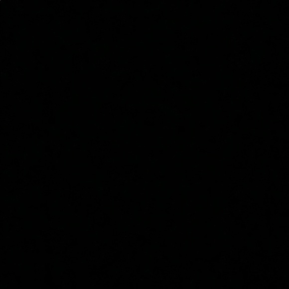 Meet your Posher, Erika - Picture 1 of 1